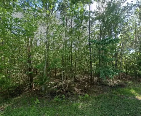 21779 NE 115th Avenue Earleton FL 32631
