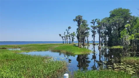 21779 NE 115th Avenue Earleton FL 32631