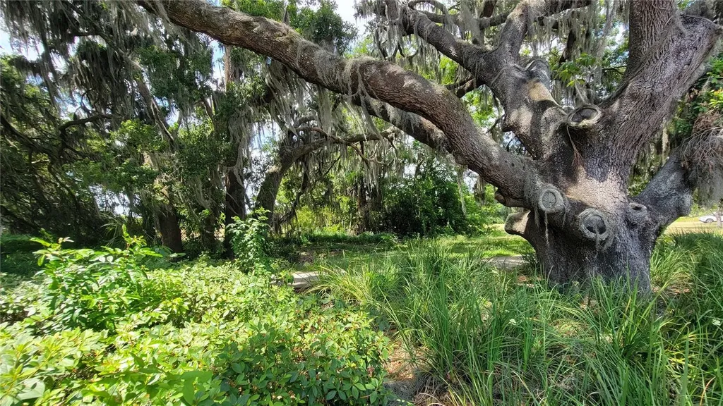 Neptune Road Kissimmee FL 34744