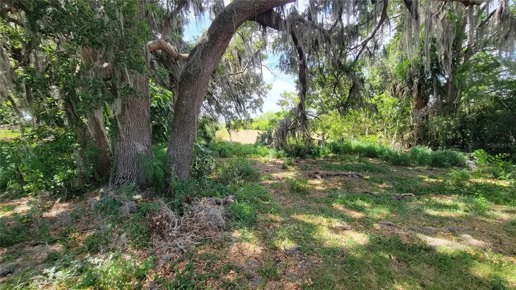 Neptune Road Kissimmee FL 34744