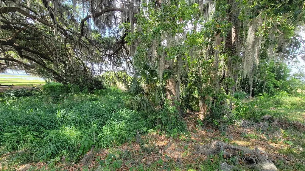 Neptune Road Kissimmee FL 34744