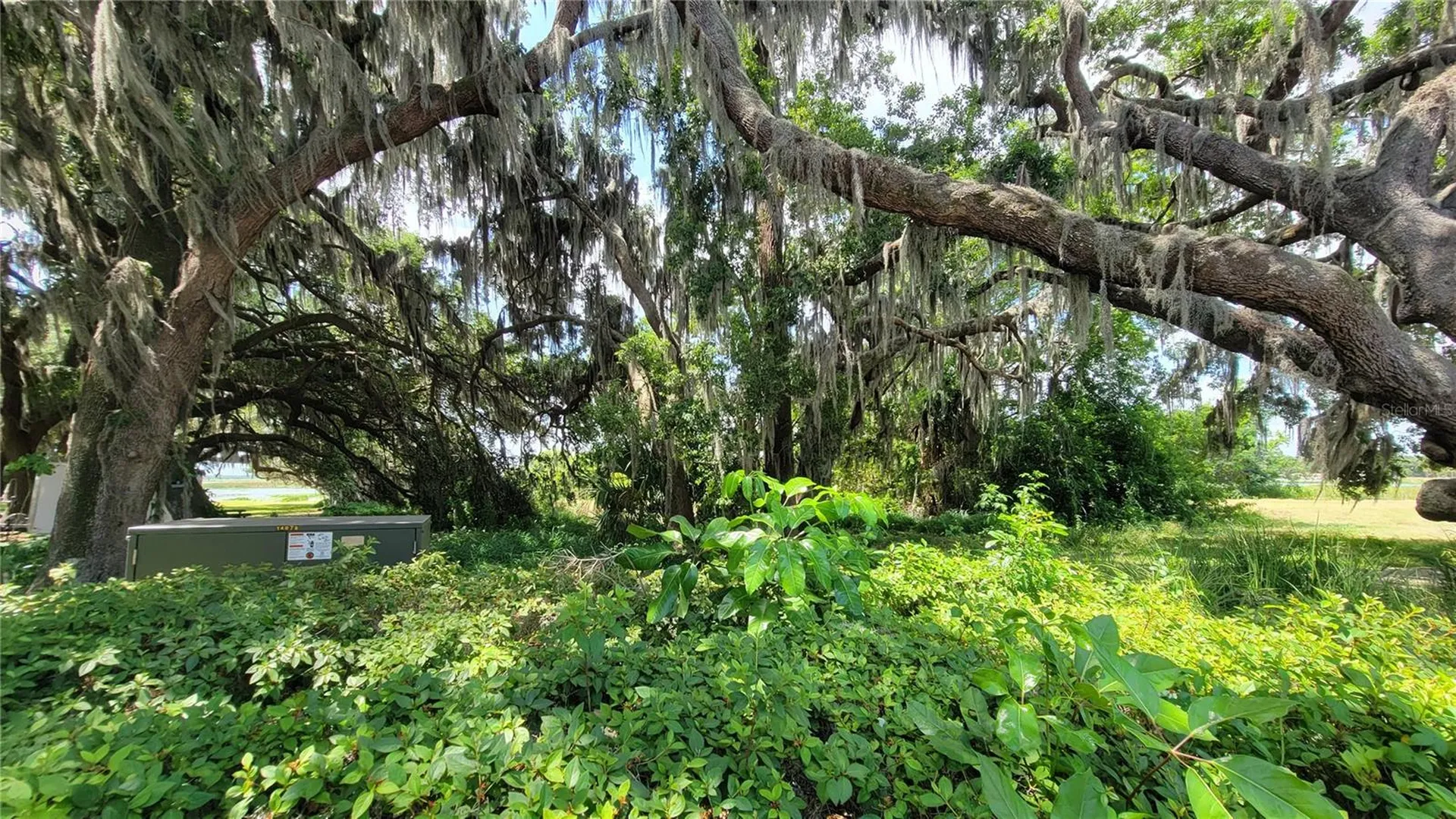 Neptune Road Kissimmee FL 34744