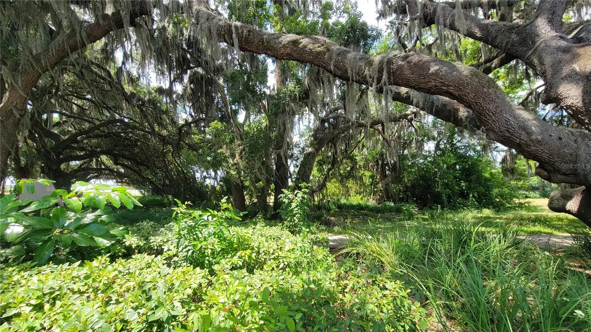 Neptune Road Kissimmee FL 34744