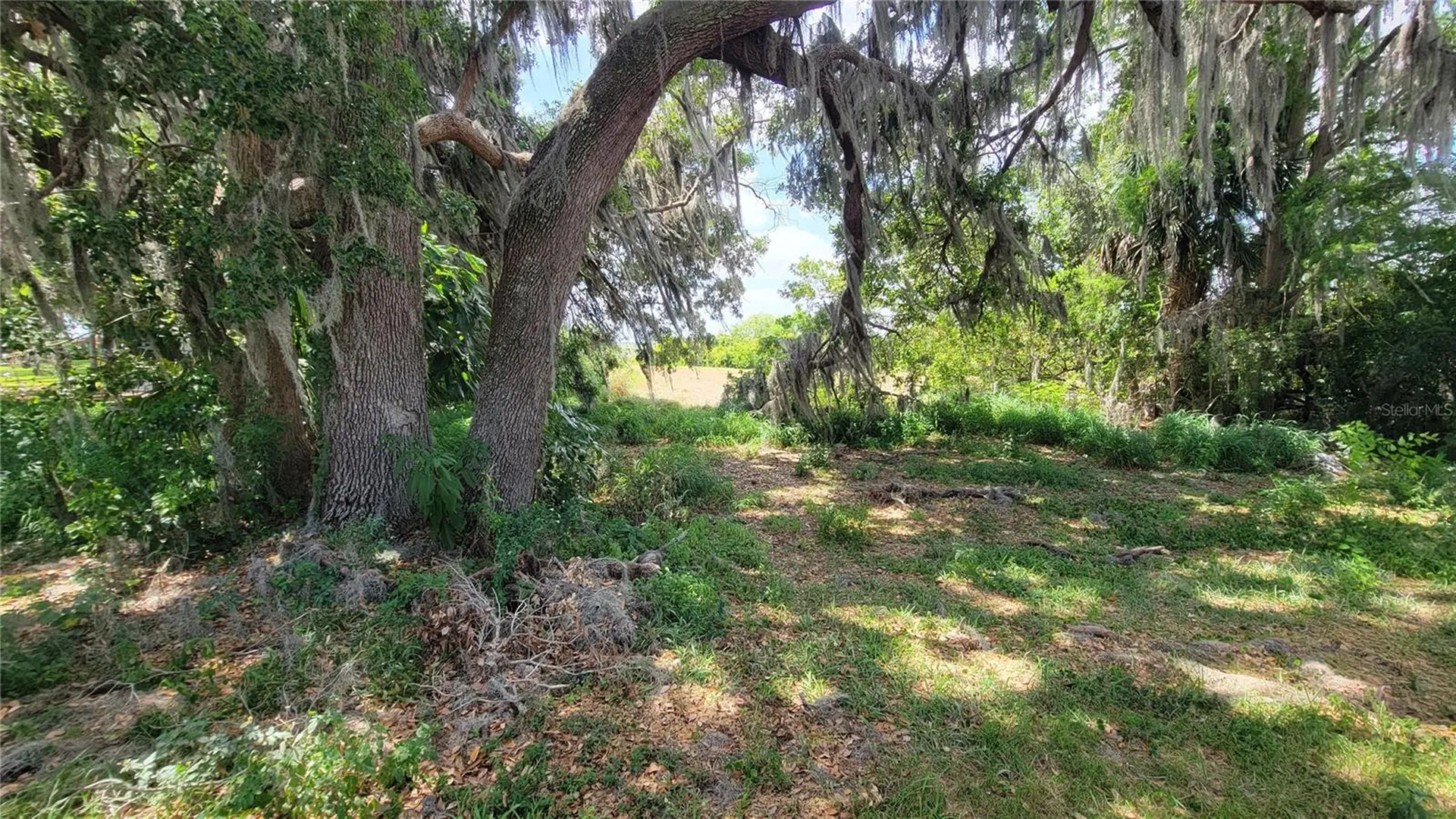 Neptune Road Kissimmee FL 34744