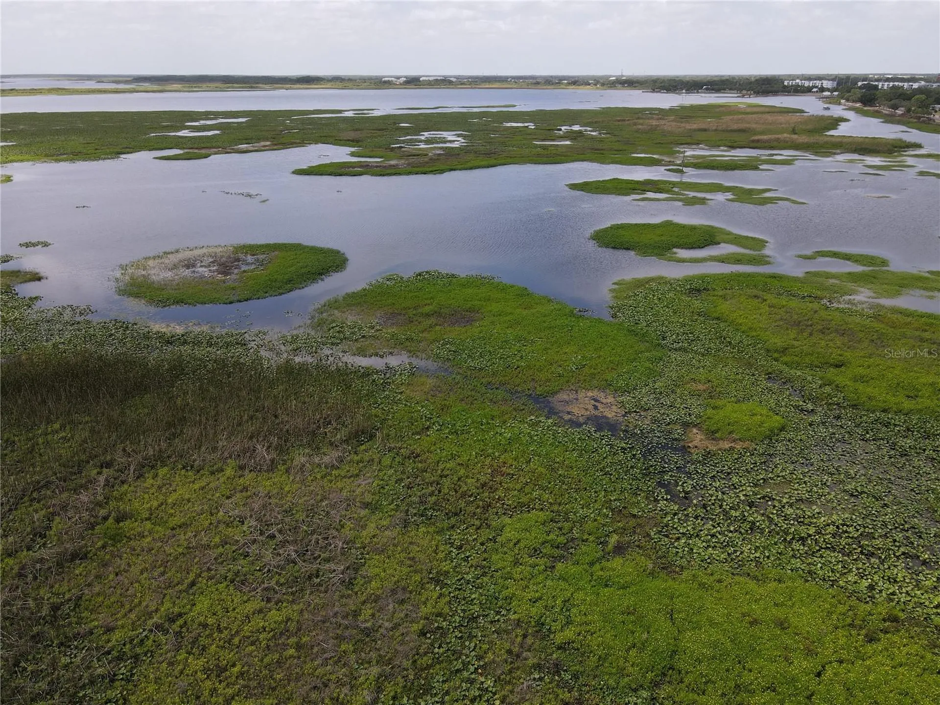 Neptune Road Kissimmee FL 34744