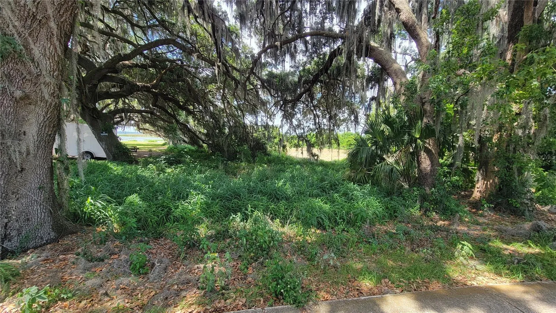 Neptune Road Kissimmee FL 34744