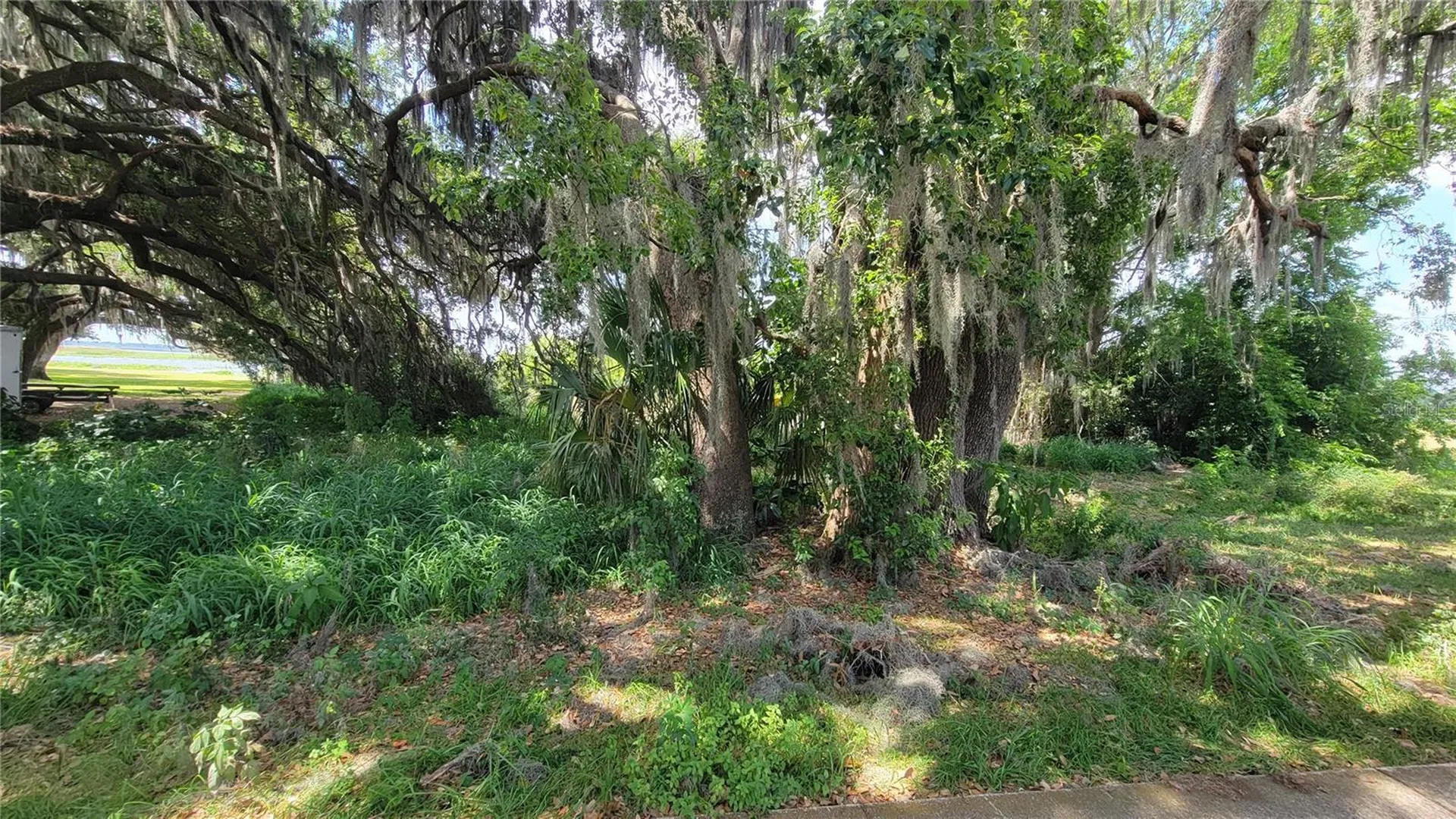 Neptune Road Kissimmee FL 34744