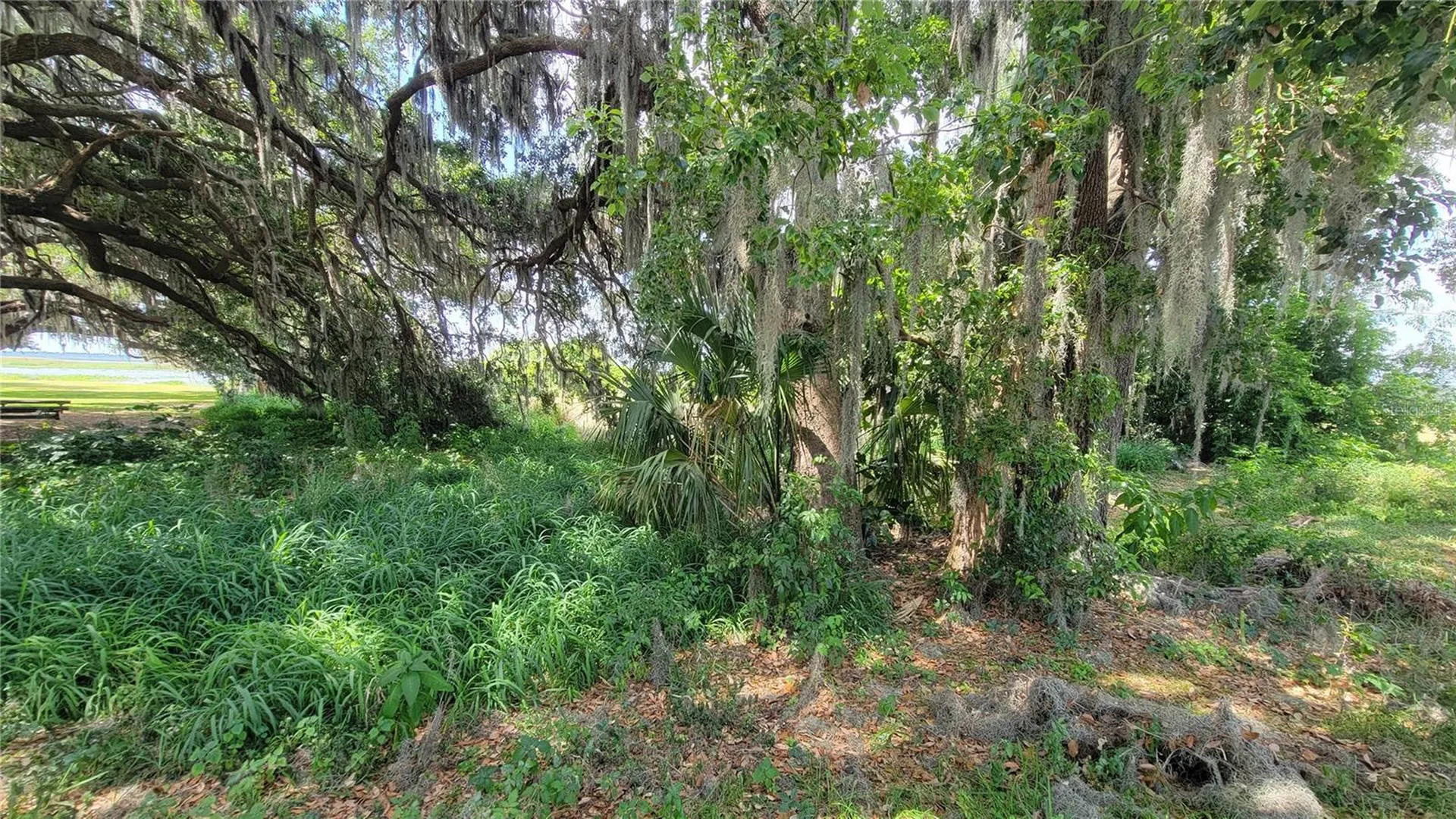 Neptune Road Kissimmee FL 34744