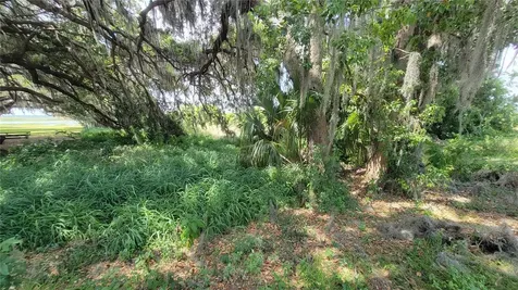 Neptune Road Kissimmee FL 34744