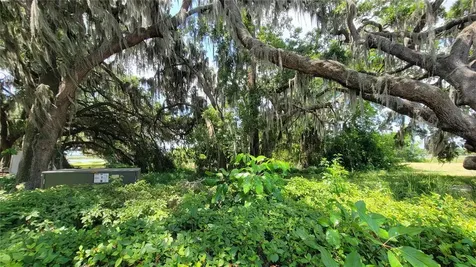 Neptune Road Kissimmee FL 34744