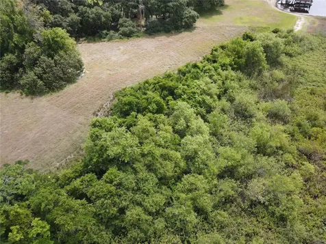 Neptune Road Kissimmee FL 34744