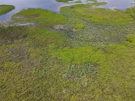 Neptune Road Kissimmee FL 34744