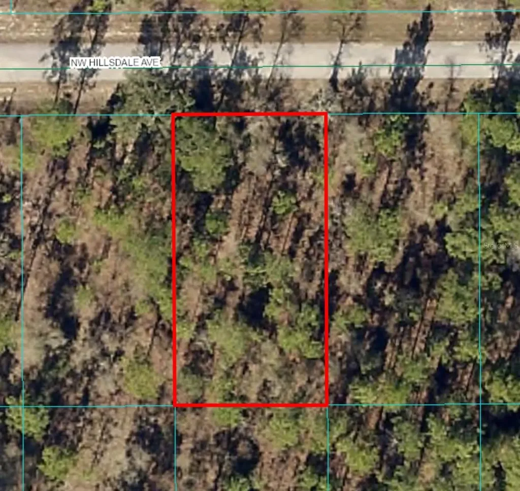 Lot 15 NW Hillsdale Avenue Dunnellon FL 34431