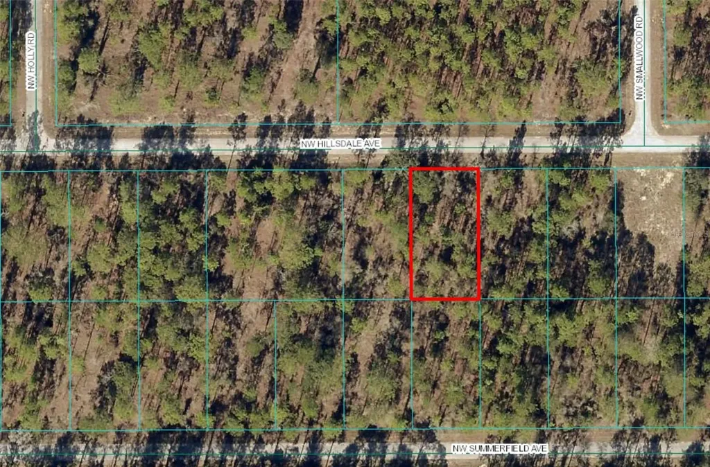 Lot 15 NW Hillsdale Avenue Dunnellon FL 34431
