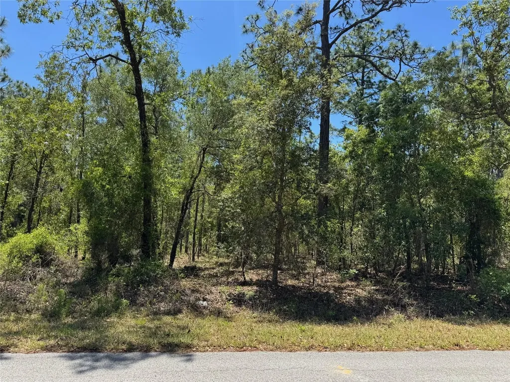 Lot 15 NW Hillsdale Avenue Dunnellon FL 34431