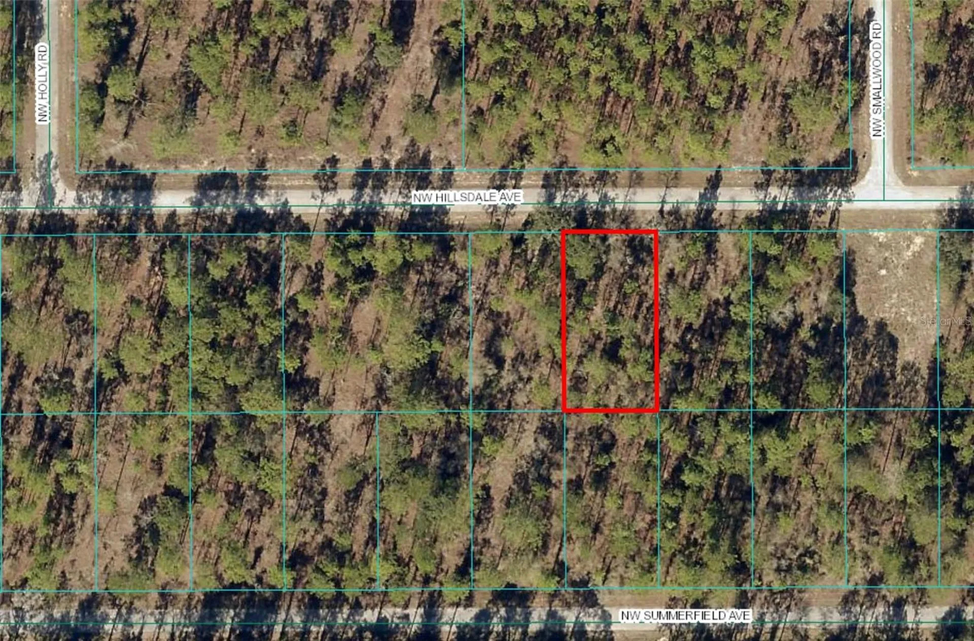 Lot 15 NW Hillsdale Avenue Dunnellon FL 34431