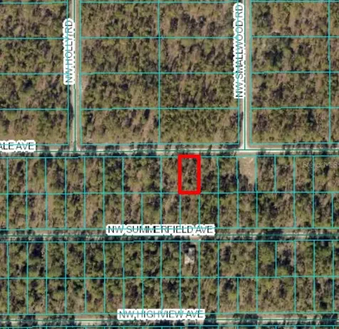 Lot 15 NW Hillsdale Avenue Dunnellon FL 34431