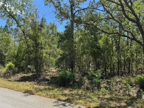 Lot 15 NW Hillsdale Avenue Dunnellon FL 34431