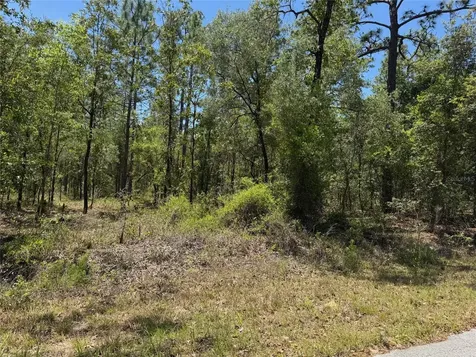 Lot 15 NW Hillsdale Avenue Dunnellon FL 34431