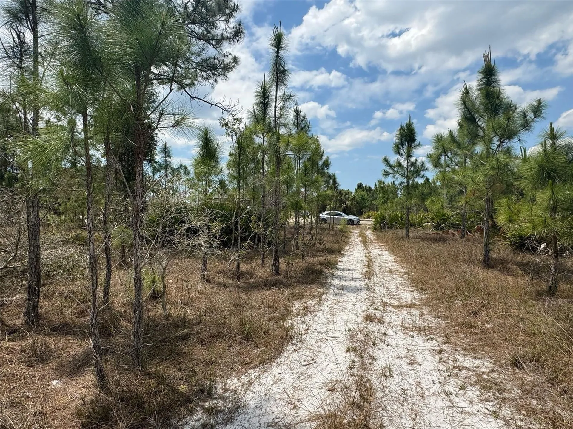 1249 Bowles Avenue Fort Myers FL 33913
