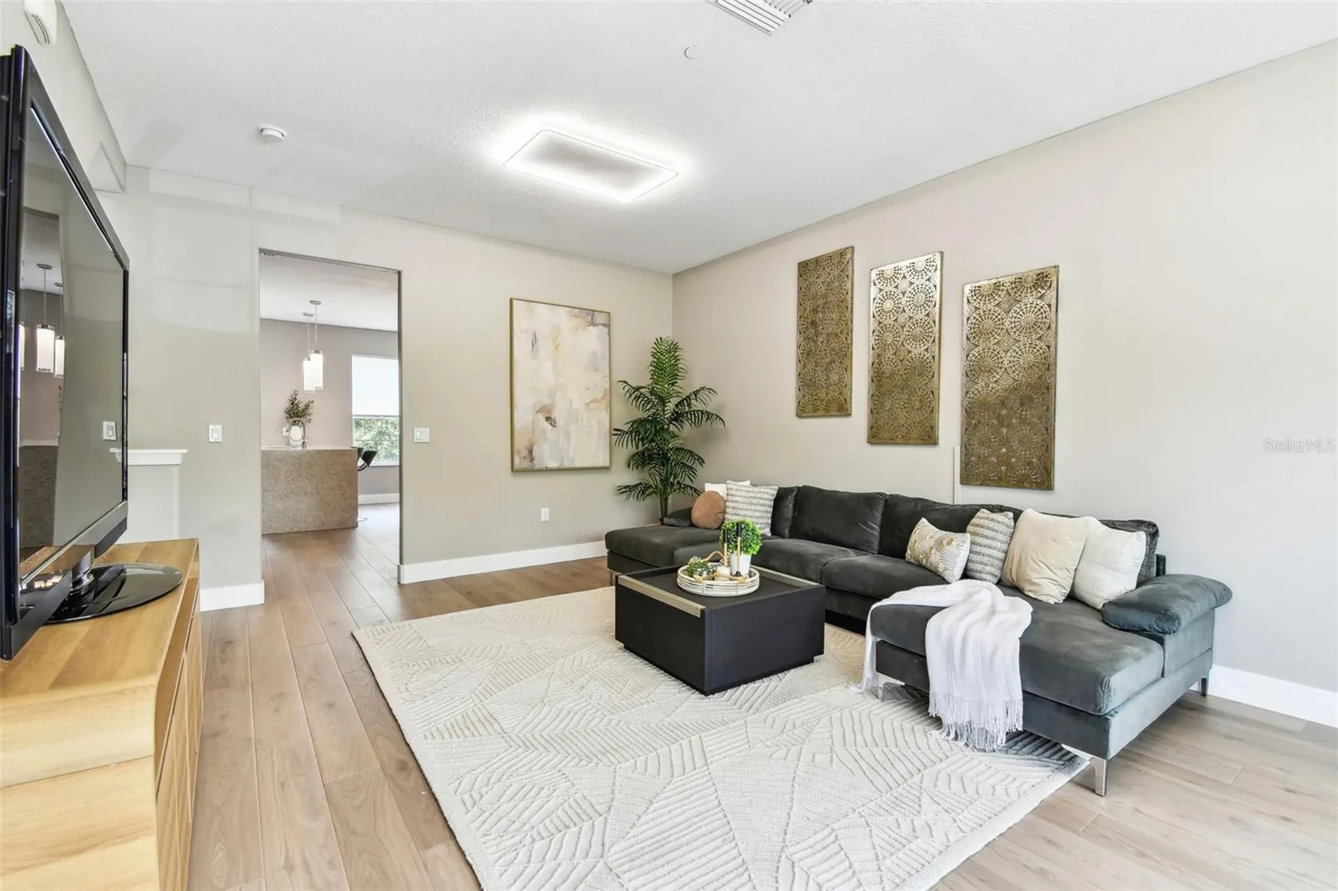 2547 Lexington Oak Drive Brandon FL 33511