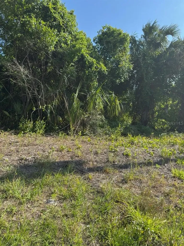 431 Birch Boulevard Georgetown FL 32139