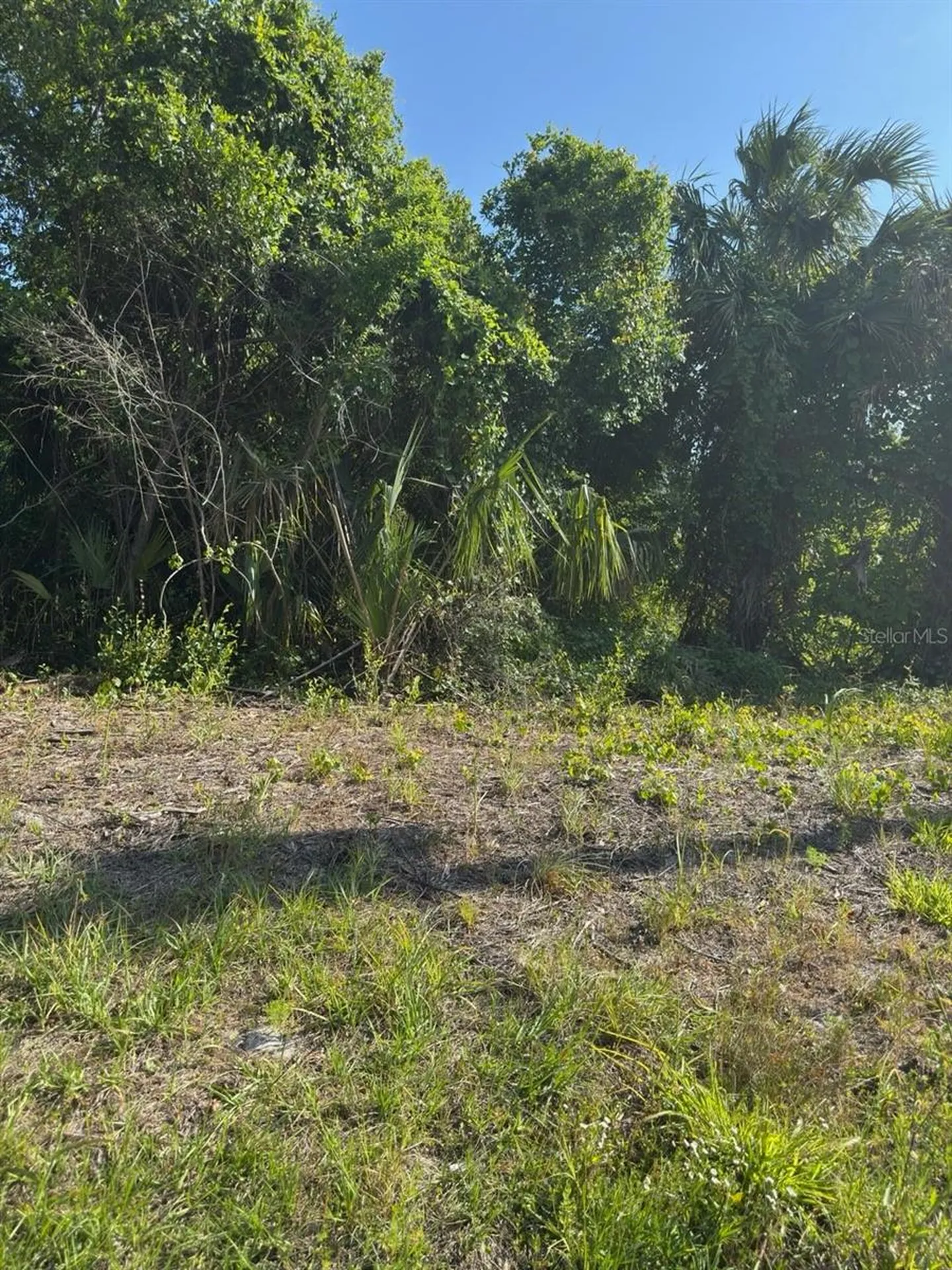 431 Birch Boulevard Georgetown FL 32139