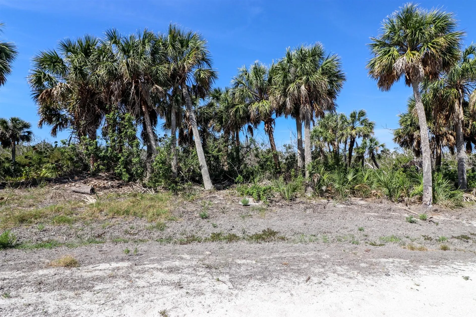 6160 Rum Cove Drive Placida FL 33946