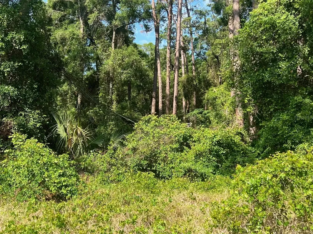W Taylor Road Deland FL 32720