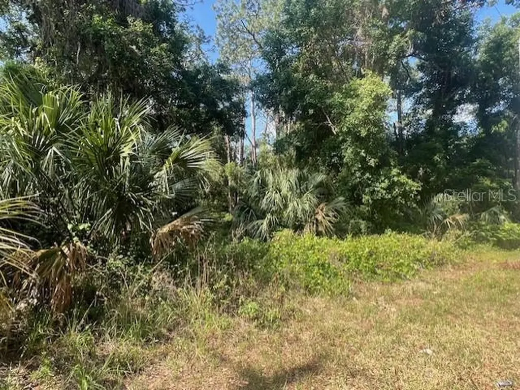 W Taylor Road Deland FL 32720