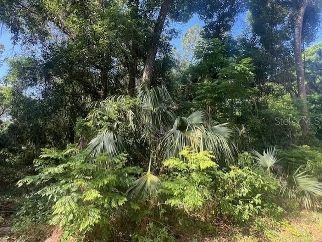 W Taylor Road Deland FL 32720