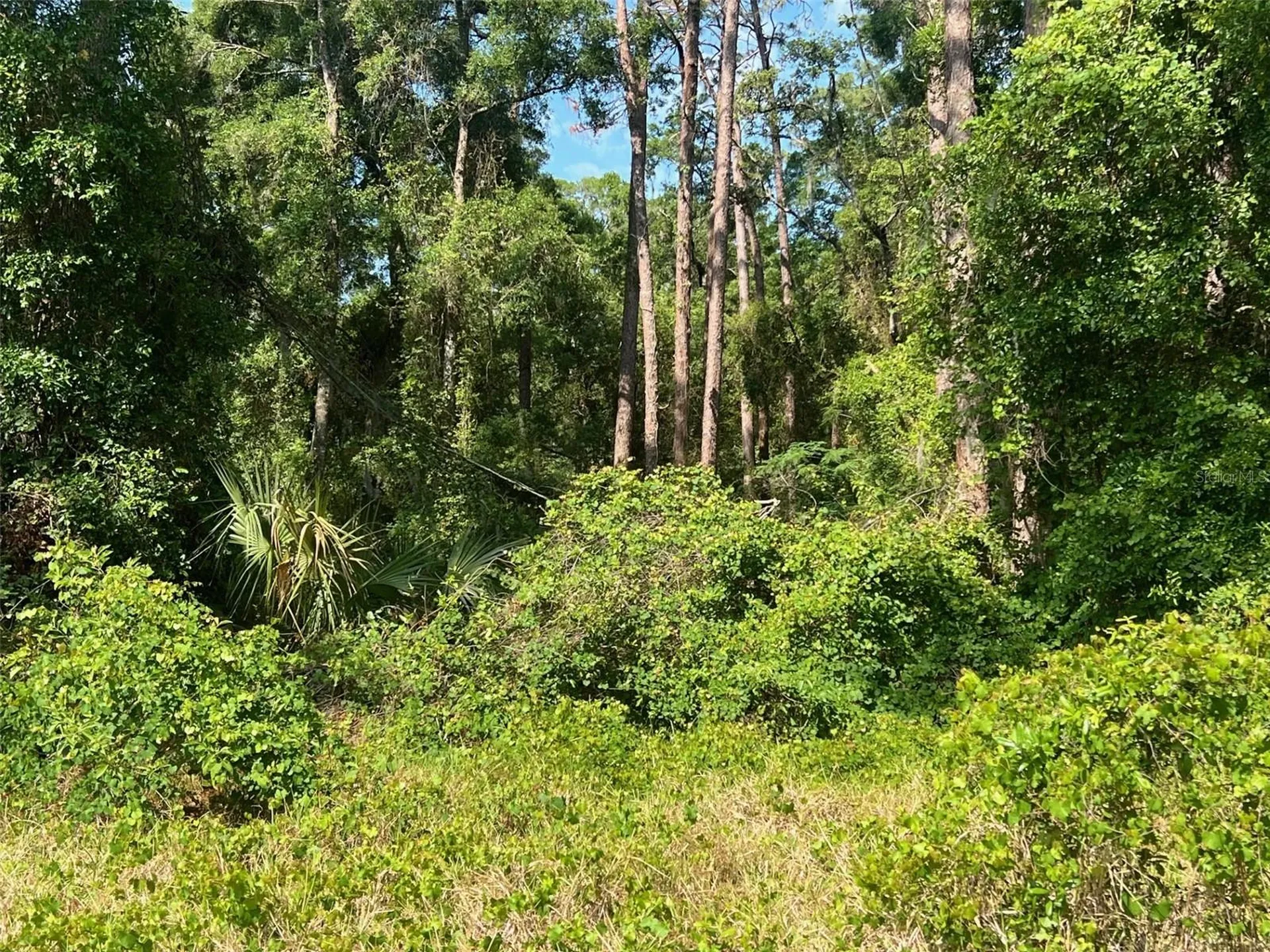 W Taylor Road Deland FL 32720