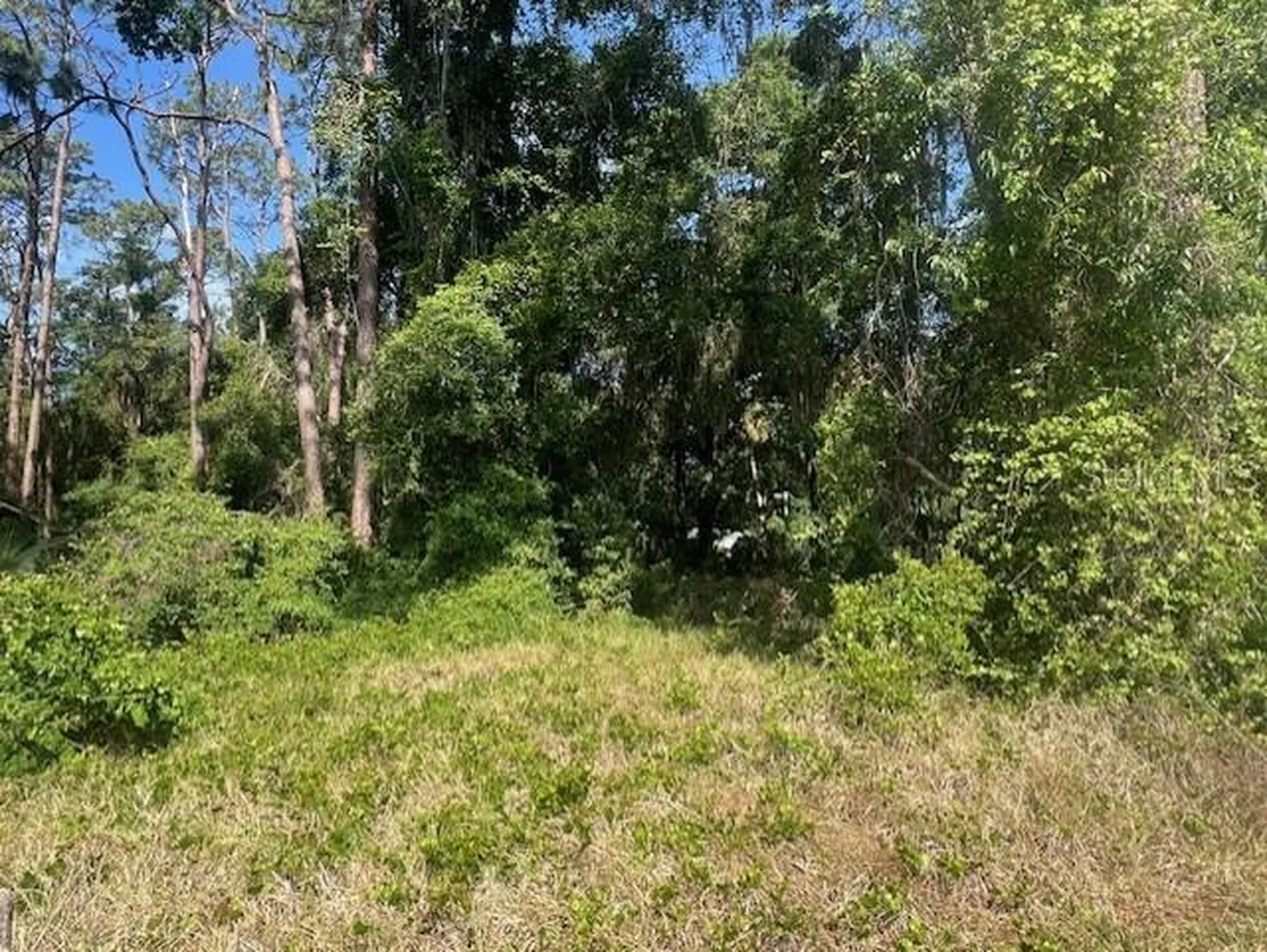 W Taylor Road Deland FL 32720