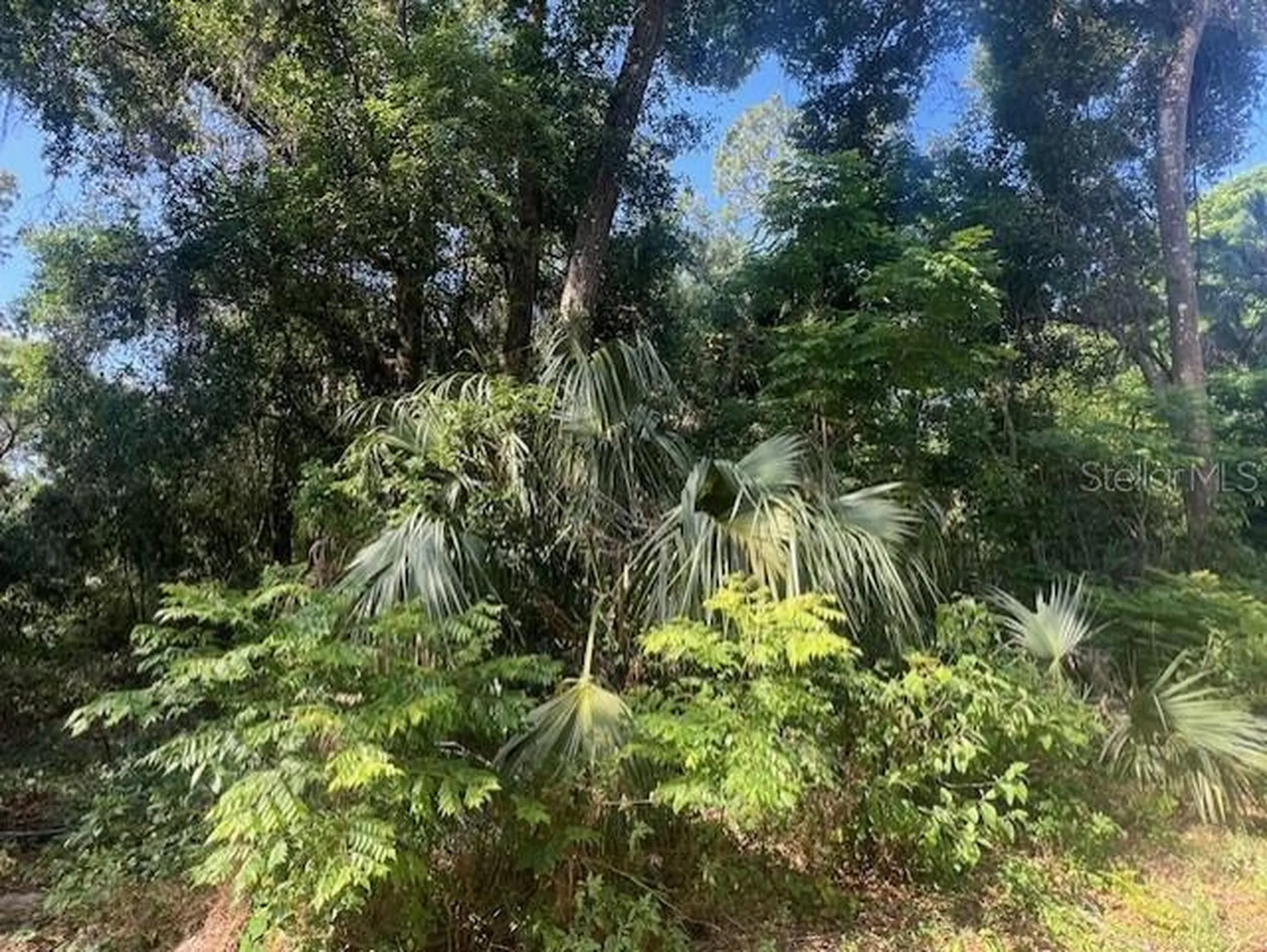 W Taylor Road Deland FL 32720
