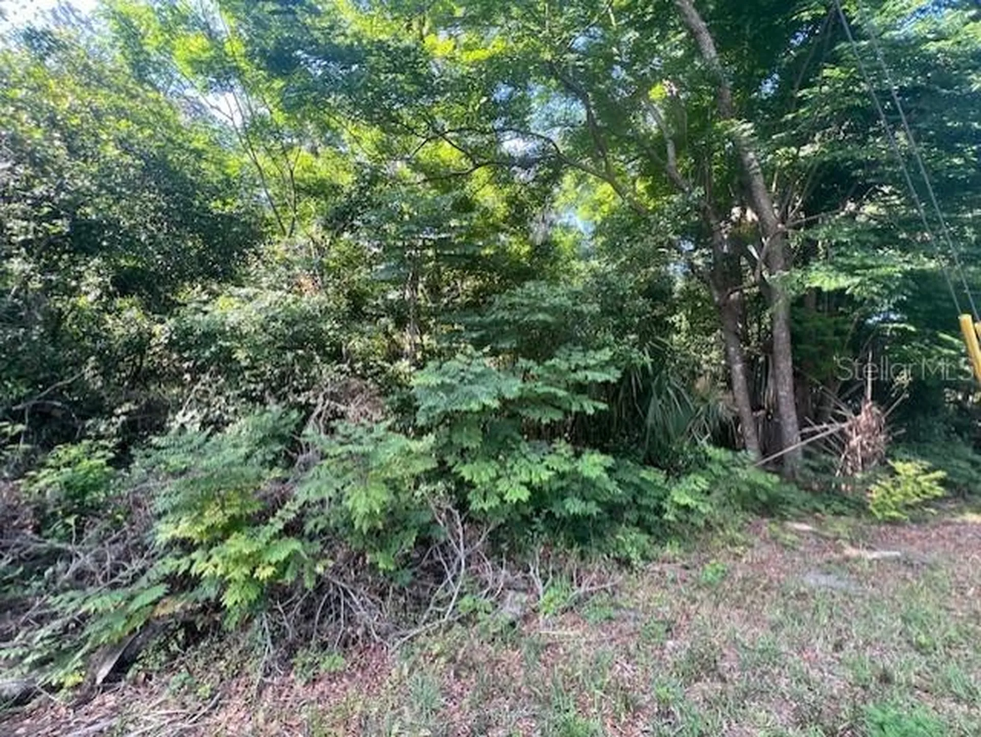 W Taylor Road Deland FL 32720