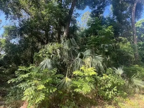 W Taylor Road Deland FL 32720