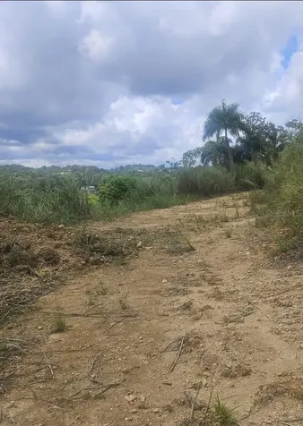Hacienda Del Dorado Dorado PR 00646