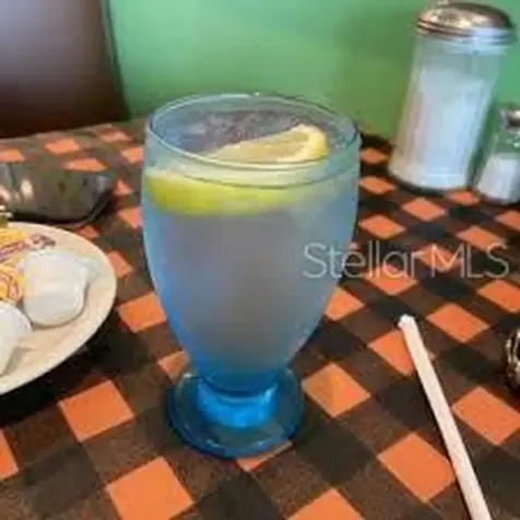 W Ormond Beach FL 32174