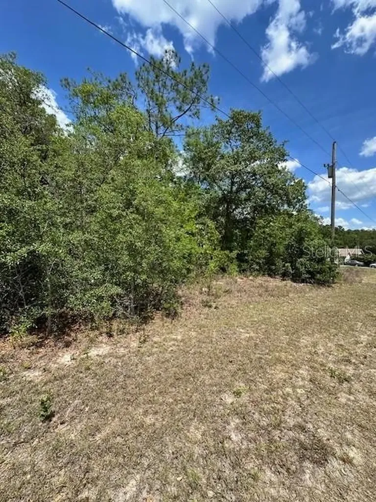 2235 W Summer Place Dunnellon FL 34434