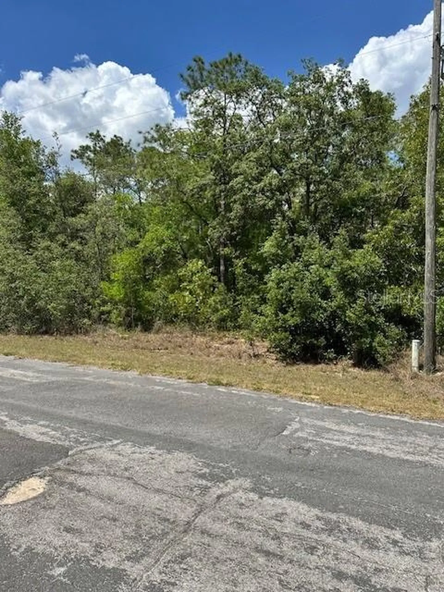 2235 W Summer Place Dunnellon FL 34434