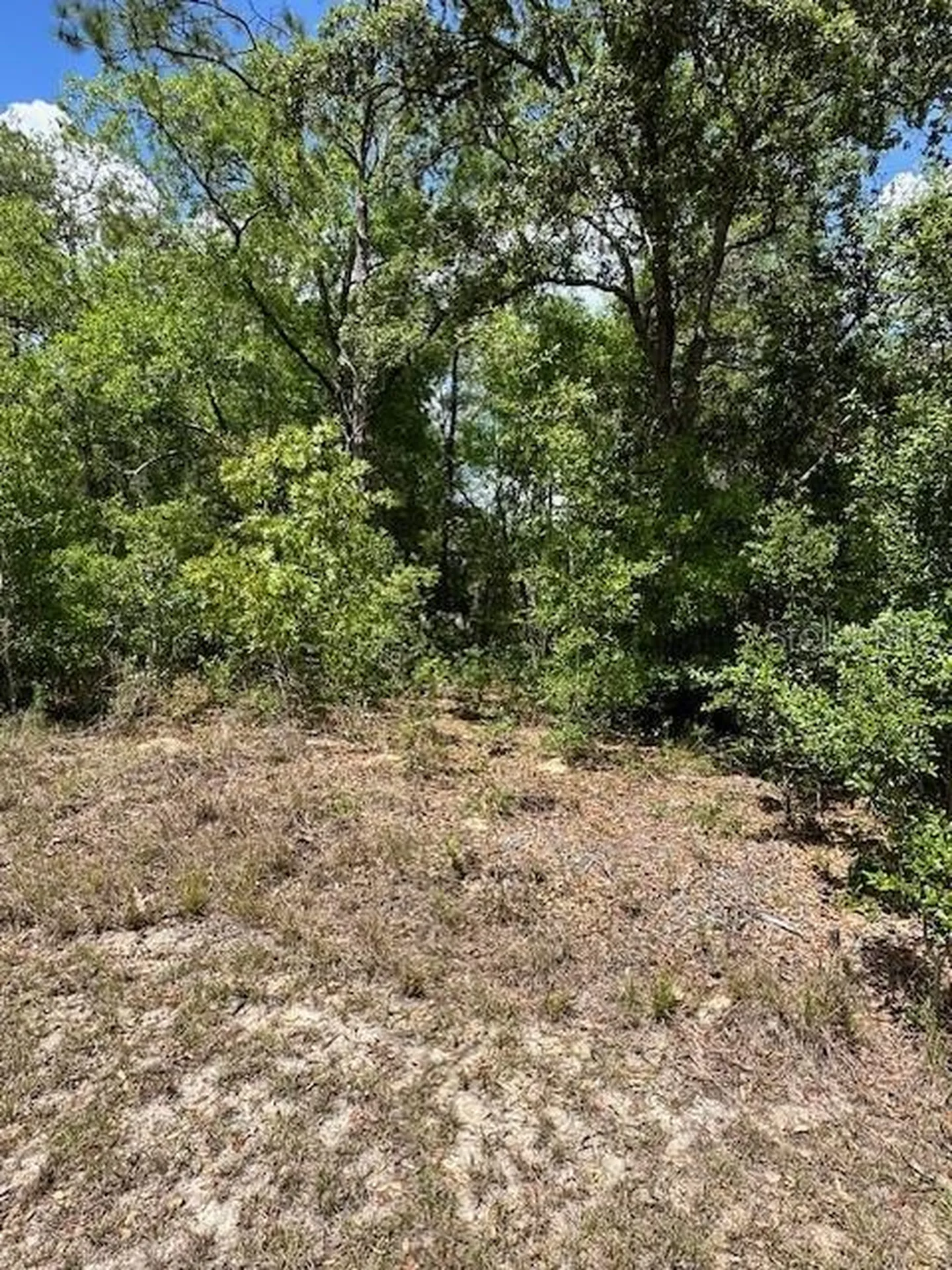 2235 W Summer Place Dunnellon FL 34434