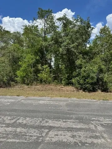 2235 W Summer Place Dunnellon FL 34434