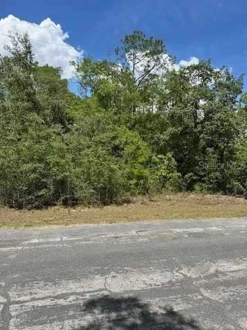 2235 W Summer Place Dunnellon FL 34434
