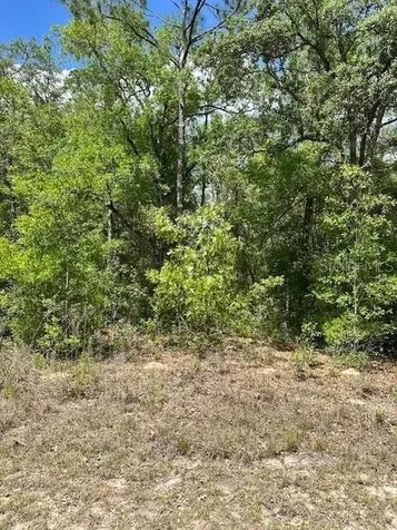 2235 W Summer Place Dunnellon FL 34434
