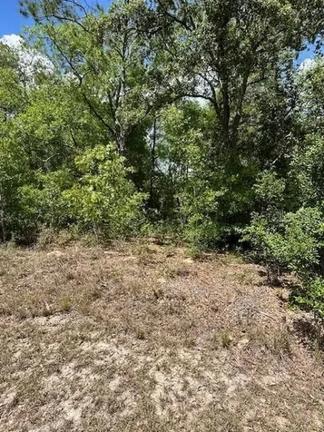2235 W Summer Place Dunnellon FL 34434