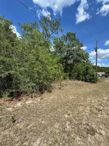 2235 W Summer Place Dunnellon FL 34434