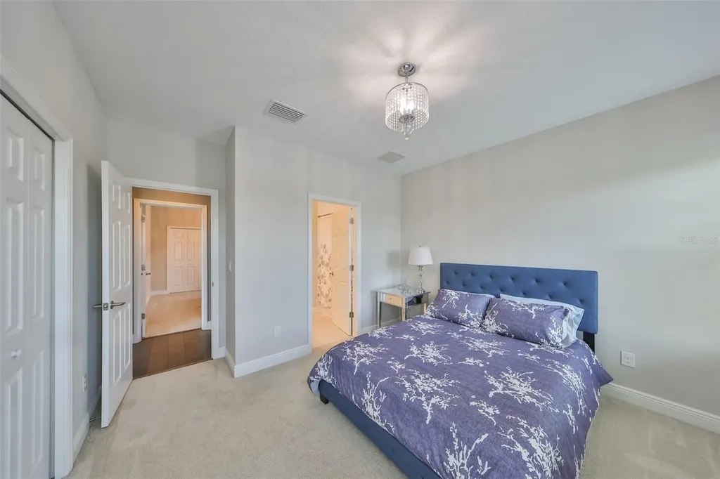 11909 Climbing Fern Avenue Riverview FL 33579