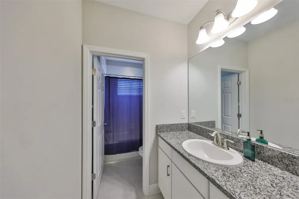 11909 Climbing Fern Avenue Riverview FL 33579