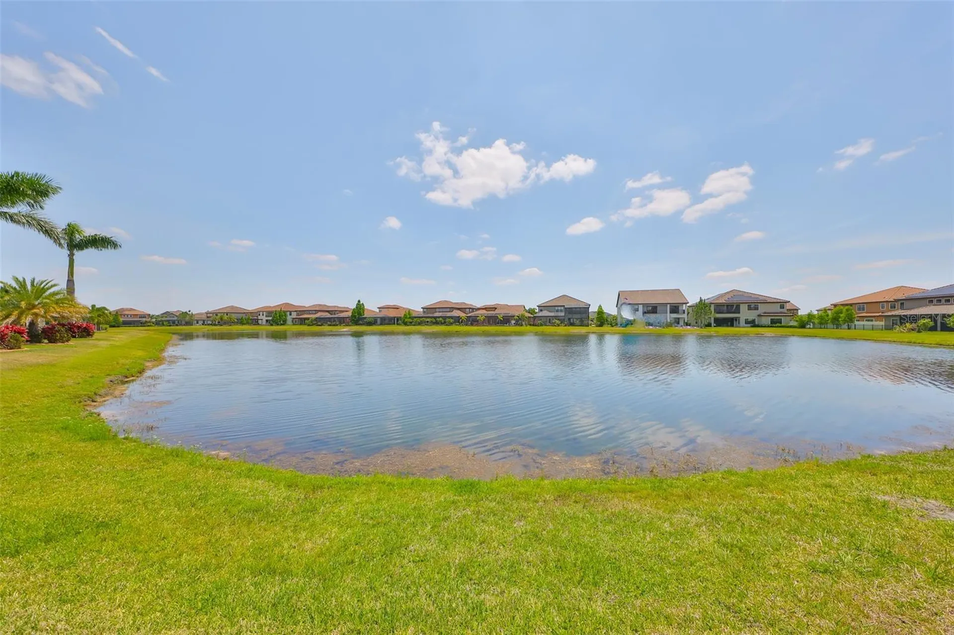 11909 Climbing Fern Avenue Riverview FL 33579
