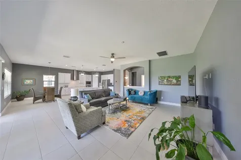 11909 Climbing Fern Avenue Riverview FL 33579